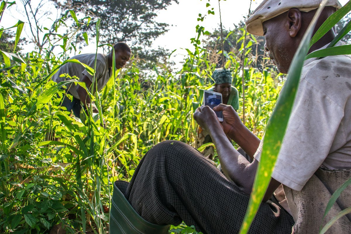 FarmPulse: soil sensors that text farmers when to water
