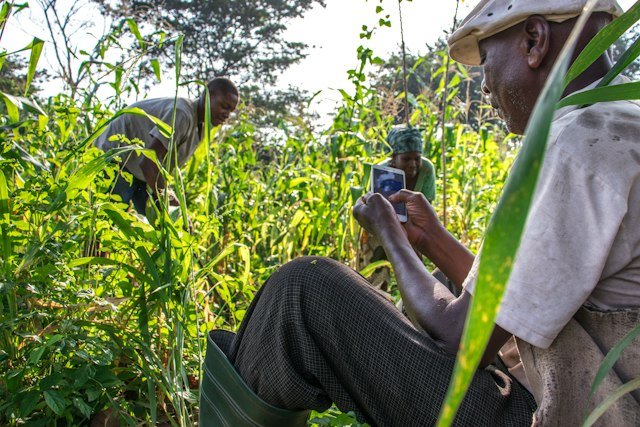 FarmPulse: soil sensors that text farmers when to water