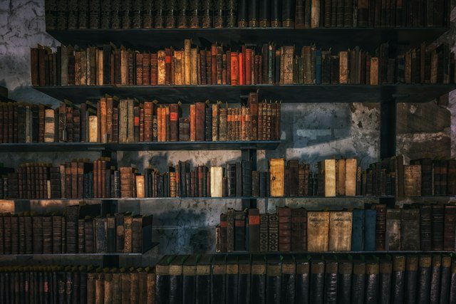 Reading corner: a free library in Nima
